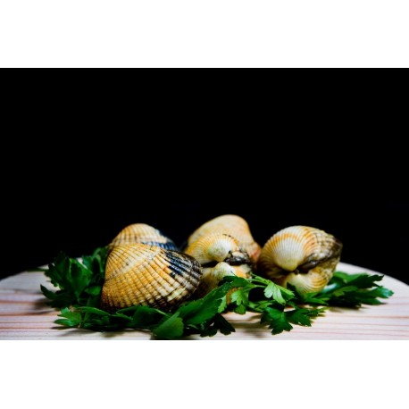 Berberecho (1 Kg) desde